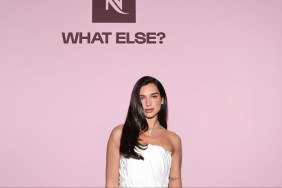 Dua Lipa’s Selfie Puts Her Abs on Display in Tiny Top Amid Safari Outing