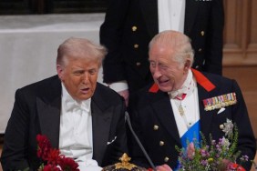 Donald Trump Calls King Charles 'Brave Man' Ahead of Visit