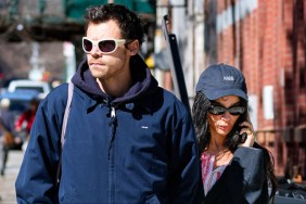 Zoe Kravitz & Harry Styles Romance 'Reeks of a Fake Relationship' — Source