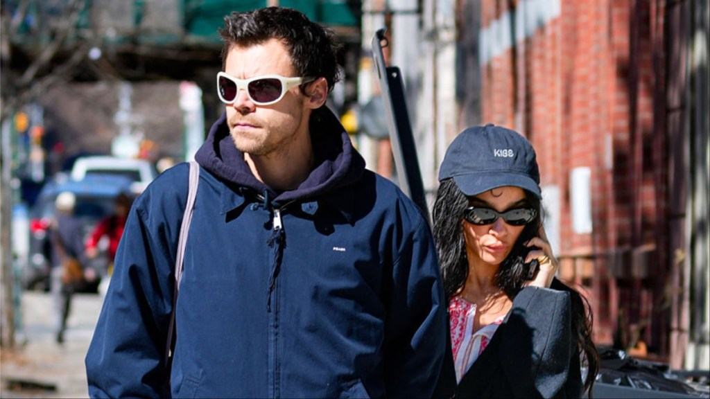 Zoe Kravitz & Harry Styles Romance 'Reeks of a Fake Relationship' — Source