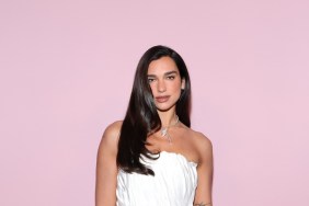 Dua Lipa Leaves Little to the Imagination in Bralette-Only Look