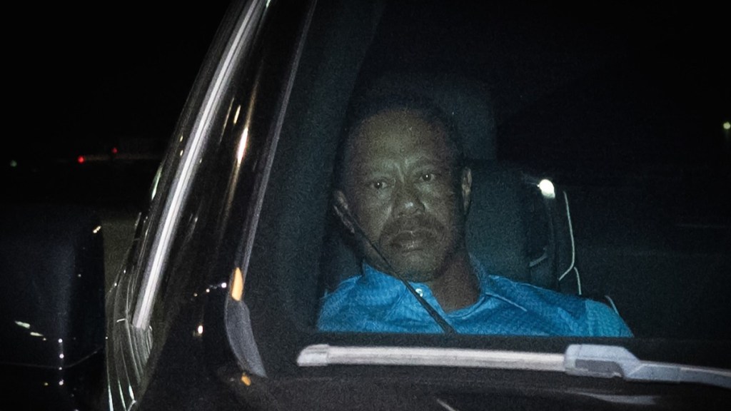 The View's Whoopi Goldberg Supports Tiger Woods After DUI Arrest
