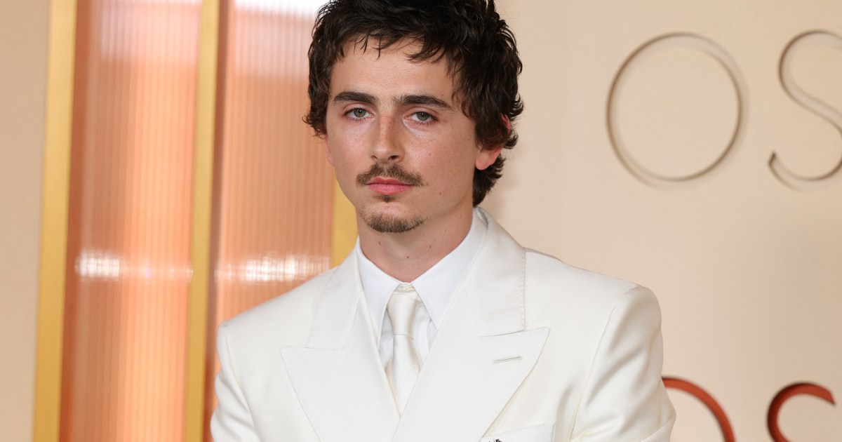 Timoth&eacute;e Chalamet Was 'Taught a Lesson by Oscars Bosses' - Source