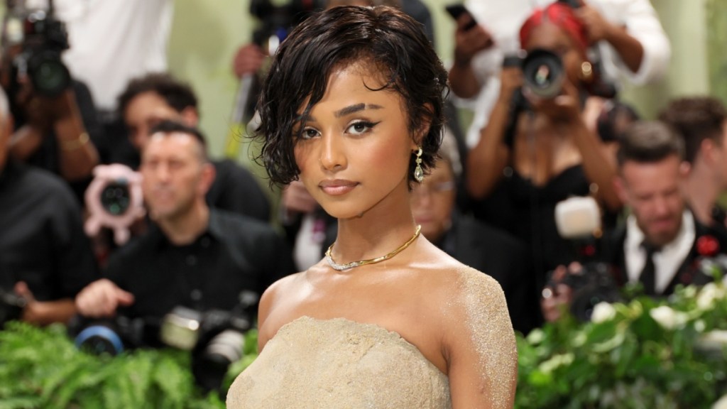 Tyla see-through dress