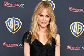 Nicole Kidman's Colleen Allen Dress Is Fully Sheer in the Right Places