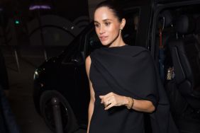Meghan Markle Slammed Over 'Calculated & Cynical' Plan — Source