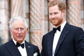 Prince Harry's Comments Creating 'Complications for Monarchy' — Source