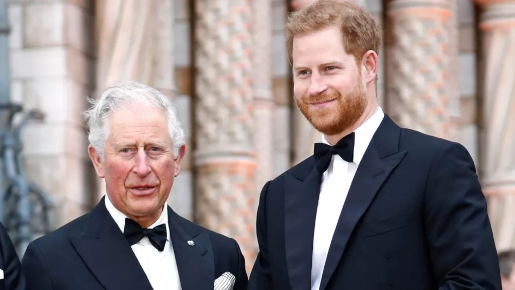 Prince Harry's Comments Creating 'Complications for Monarchy' — Source