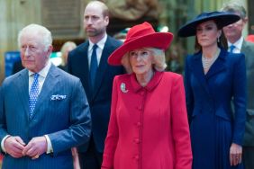 Royal Family Facing ‘Biggest Danger’ to Monarchy’s Popularity — Expert