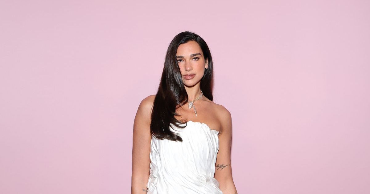 Dua Lipa's Workout Selfie in Crop Top Is as Bold as It Gets After Safari Trip