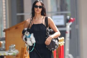 Irina Shayk Turns up the Heat in Plunging Swimsuit That Has Fans Distracted