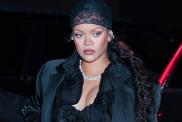 Rihanna Shows How It's Done in Fully See-Through Dress for W Mag