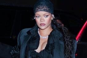Rihanna Shows How It's Done in Fully See-Through Dress for W Mag