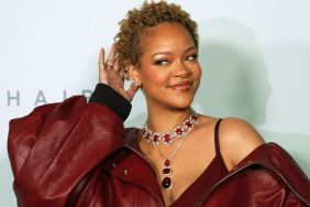 Rihanna Gets Hidden Behind a Gigantic Jacket for W Mag