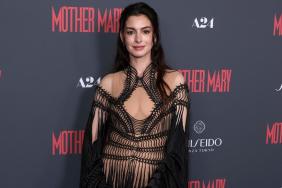 Anne Hathaway's Fully Sheer Schiaparelli Dress Boasts Dangerous Cutouts