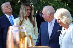 King Charles & Queen Camilla Kick off US Visit With Garden Party