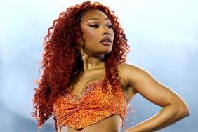 Megan Thee Stallion Gets Straight to Business After Split — Report