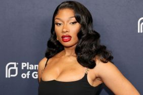 Megan Thee Stallion’s Sheer Backless Dress Held by Just 2 Bows in Resurfaced Photo