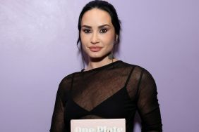 Demi Lovato Wears Fully See-Through Top Amid Tour