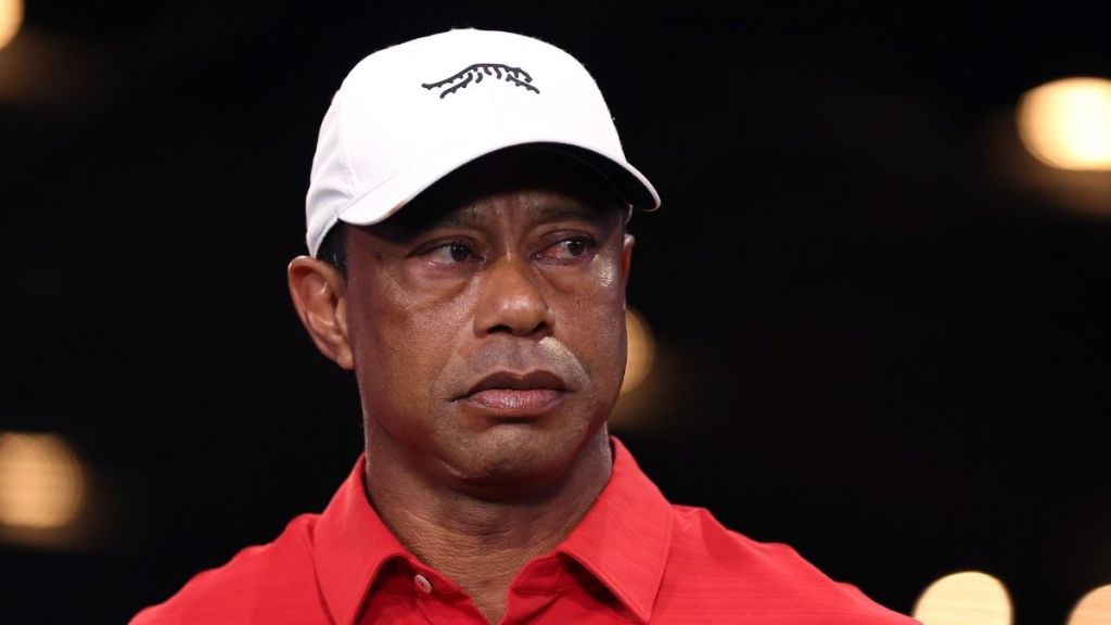 Tiger Woods Wants to Return to Golf After Treatment — Source