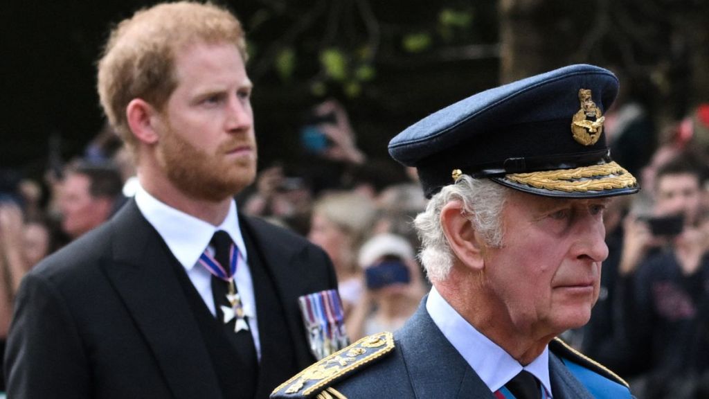 Prince Harry's Plans With His Family 'Brutally Rejected' — Source