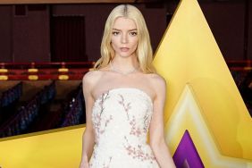 Anya Taylor-Joy's Completely Sheer Rodarte Dress Hangs by Just 2 Strings