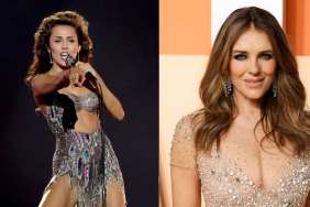 Miley Cyrus Leaves Elizabeth Hurley Off Rumored Wedding Guest List — Source