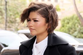Zendaya's Mob Wife-Coded Fully Sheer Dress Is a Harris Reed for Nina Ricci