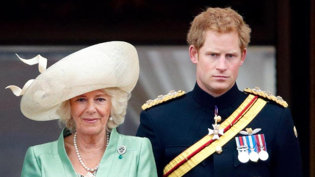 Prince Harry & Queen Camilla in Renewed Feud — Source