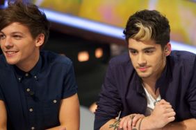 Zayn Malik ‘Punched’ Ex-1D Star Louis Tomlinson on Netflix Doc Set — Report