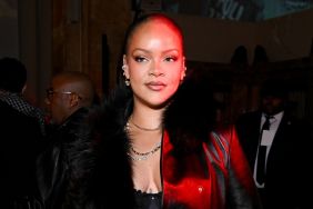 Rihanna's Lacy Valentino Dress & Tights Are Completely See-Through