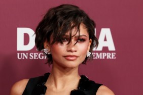 Zendaya Pairs Sheer Crop Top With Skirt Ahead of Movie Release