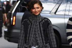 Zendaya's Erdem Shredded Micro Minidress Is Made of Leftover Fabric