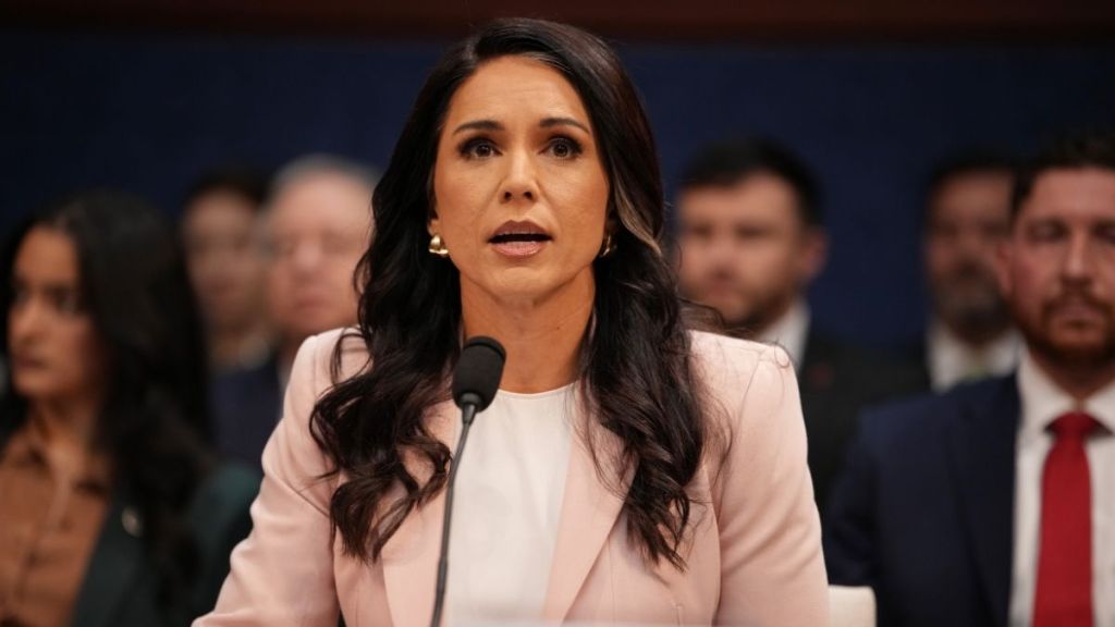 Tulsi Gabbard Was Pushed to Resign as Intel Chief — Source