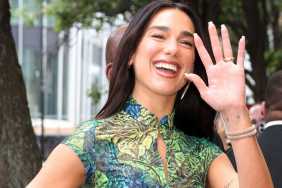 Dua Lipa Wears a Dress So Revealing Her Tiny Bralette Steals the Whole Show