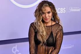 Karol G's Fully See-Through Top at AMAs Is Torn All Over