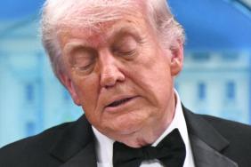 Donald Trump Appears to Fall Asleep at Memorial Day Event