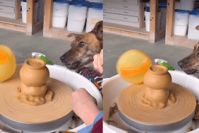 Rescue Dog Finds Joy Playing Ball on Mom’s Pottery Wheel