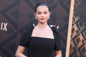 Selena Gomez Is Dripping in Crystals in Low-Cut Carolina Herrera Dress