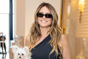 Heidi Klum's Slinky Misha Dress Comes With a Massive Hip Cutout