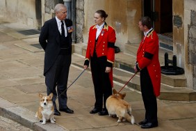 Ex Prince Andrew