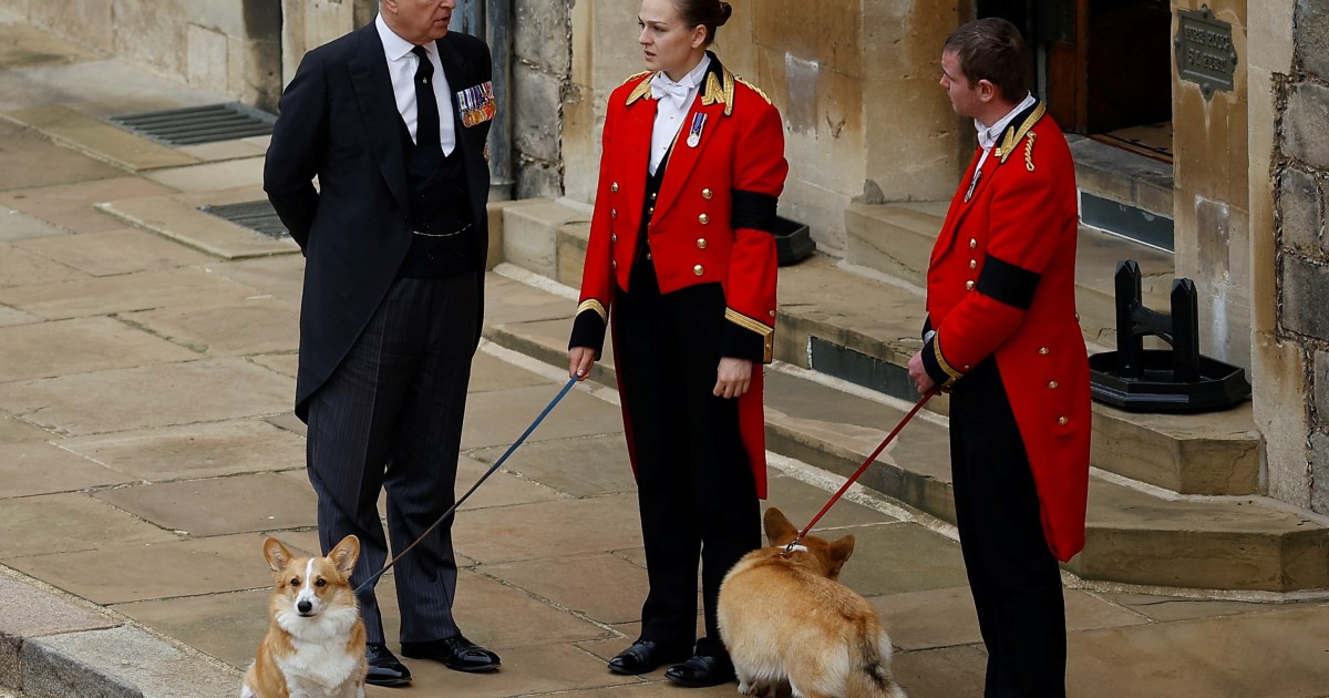 Ex-Prince Andrew Accused of Kicking ‘His Dog in the Head’ in Updated Book