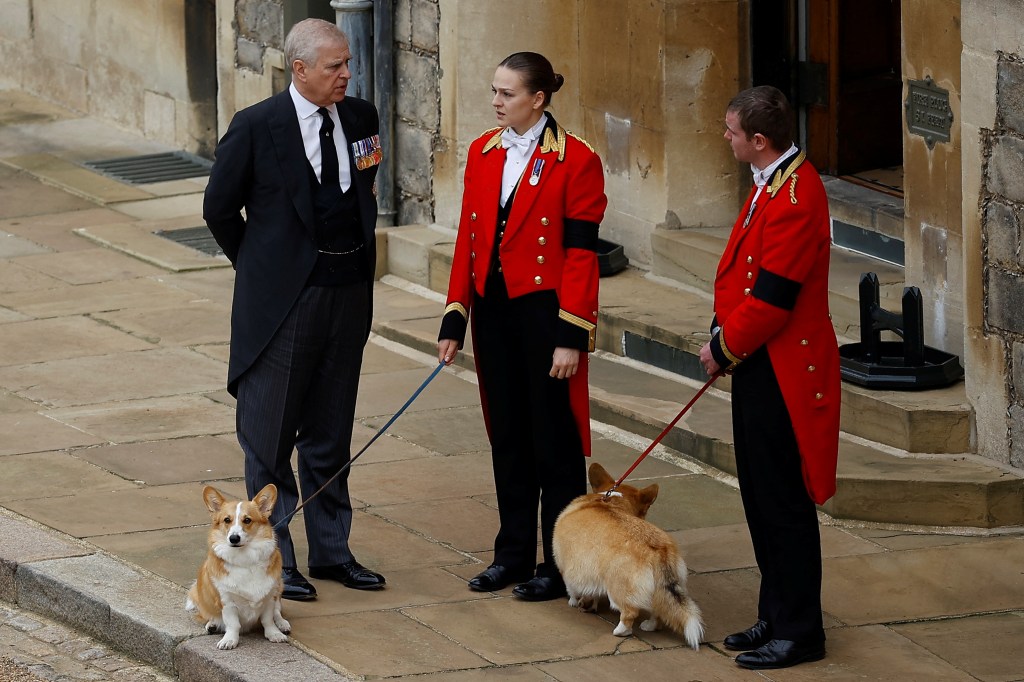 Ex Prince Andrew