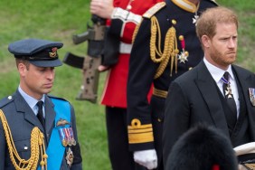 prince harry