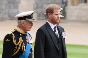 prince harry