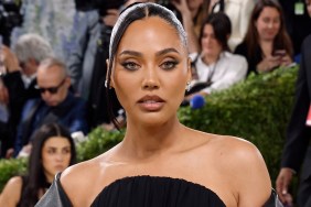 ayesha curry
