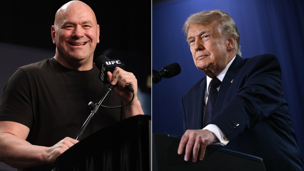 dana white donald trump
