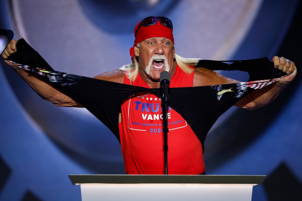 Hulk Hogan accountant