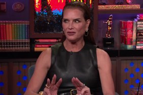 Iconic Calvin Klein Jeans Vanish from Brooke Shields’ Collection