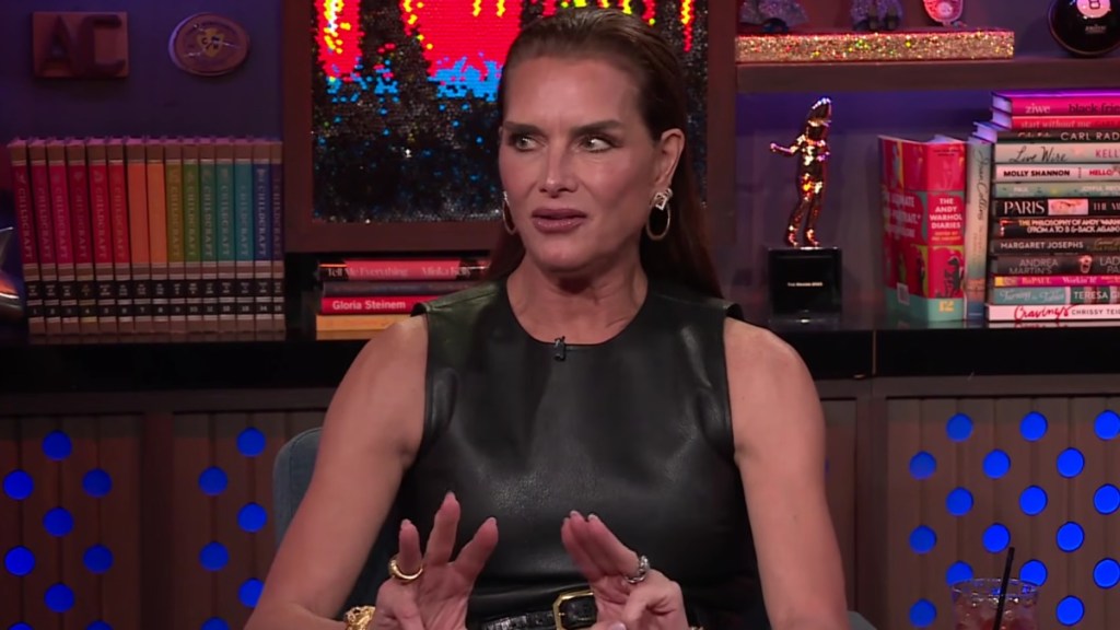 Iconic Calvin Klein Jeans Vanish from Brooke Shields’ Collection